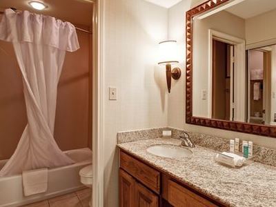 Homewood By Hilton Dallas-irving-las Colinas Hotel 3*